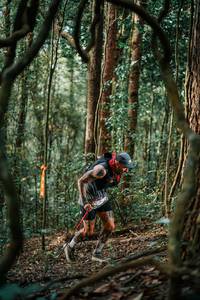 BIB: 
                            <button type="button" onclick="openModal(25238257)" class="btn btn-primary btn-sm float-right btn-popup" data-toggle="modal" data-target=".modal-high-quality">
                        <i class="fas fa-shopping-cart"></i> Add to Cart
                    </button>
                                            <button type="button" onclick="isThisMe(25238257, true)" class="btn btn-success btn-sm float-right btn-popup btn-isme hidden" data-toggle="tooltip" data-placement="bottom" title="นี่คือรูปของคุณใช่ไหม คลิกที่นี่เพื่อเอาเข้าอัลบั้ม">
                        <i class="fas fa-plus"></i> Add to album
                    </button>
                    <button type="button" onclick="isThisMe(25238257, false)" class="btn btn-warning btn-sm float-right btn-popup btn-isnotme hidden">
                        <i class="fas fa-ban"></i> Remove from album
                    </button>